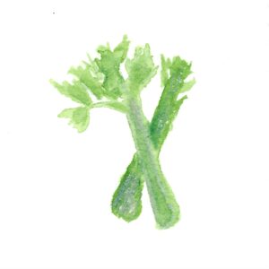 ROCicons.celery
